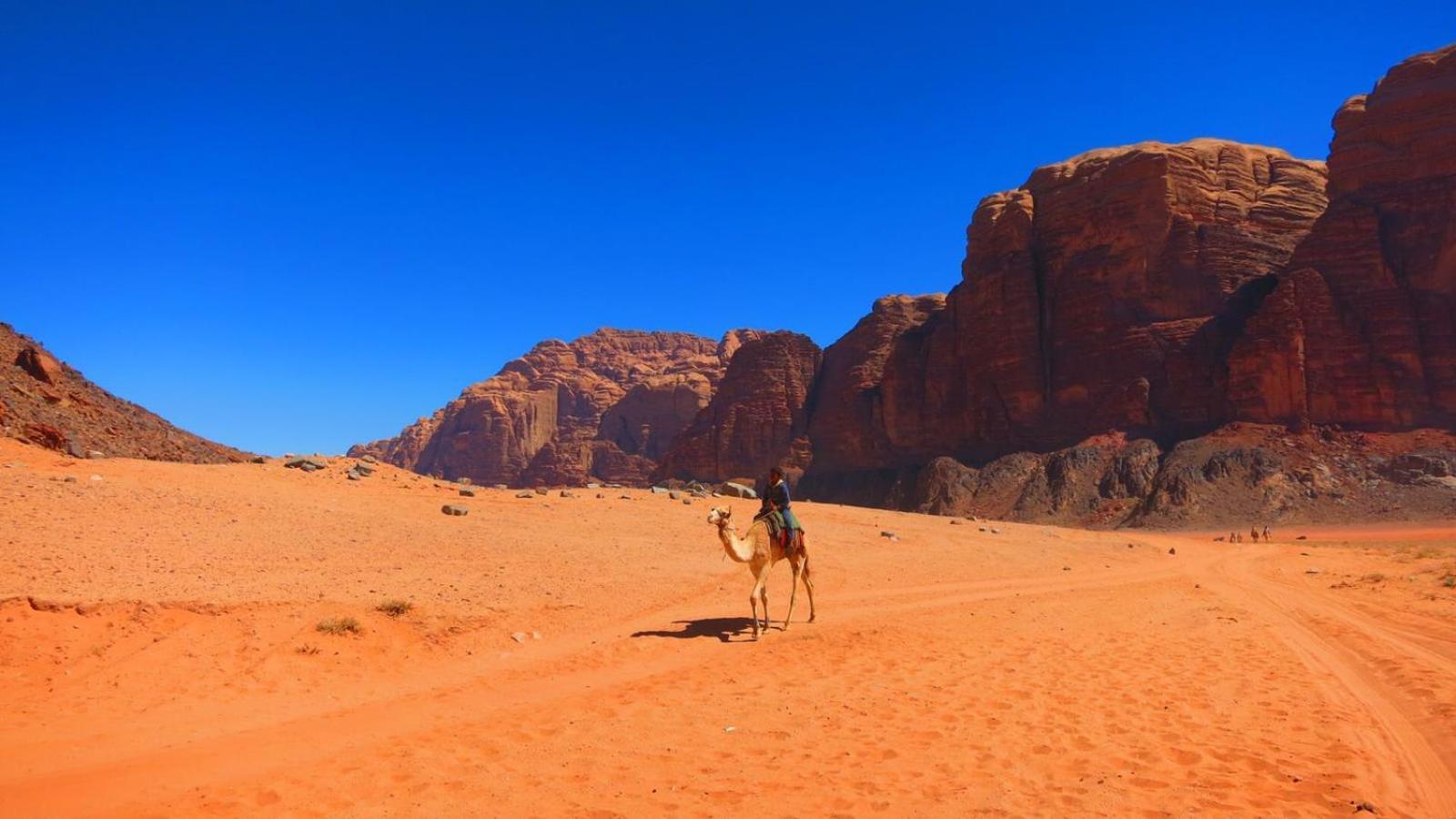 Wadi Rum Magic Nature Camp Екстериор снимка