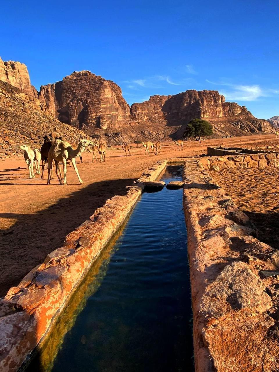 Wadi Rum Magic Nature Camp Екстериор снимка
